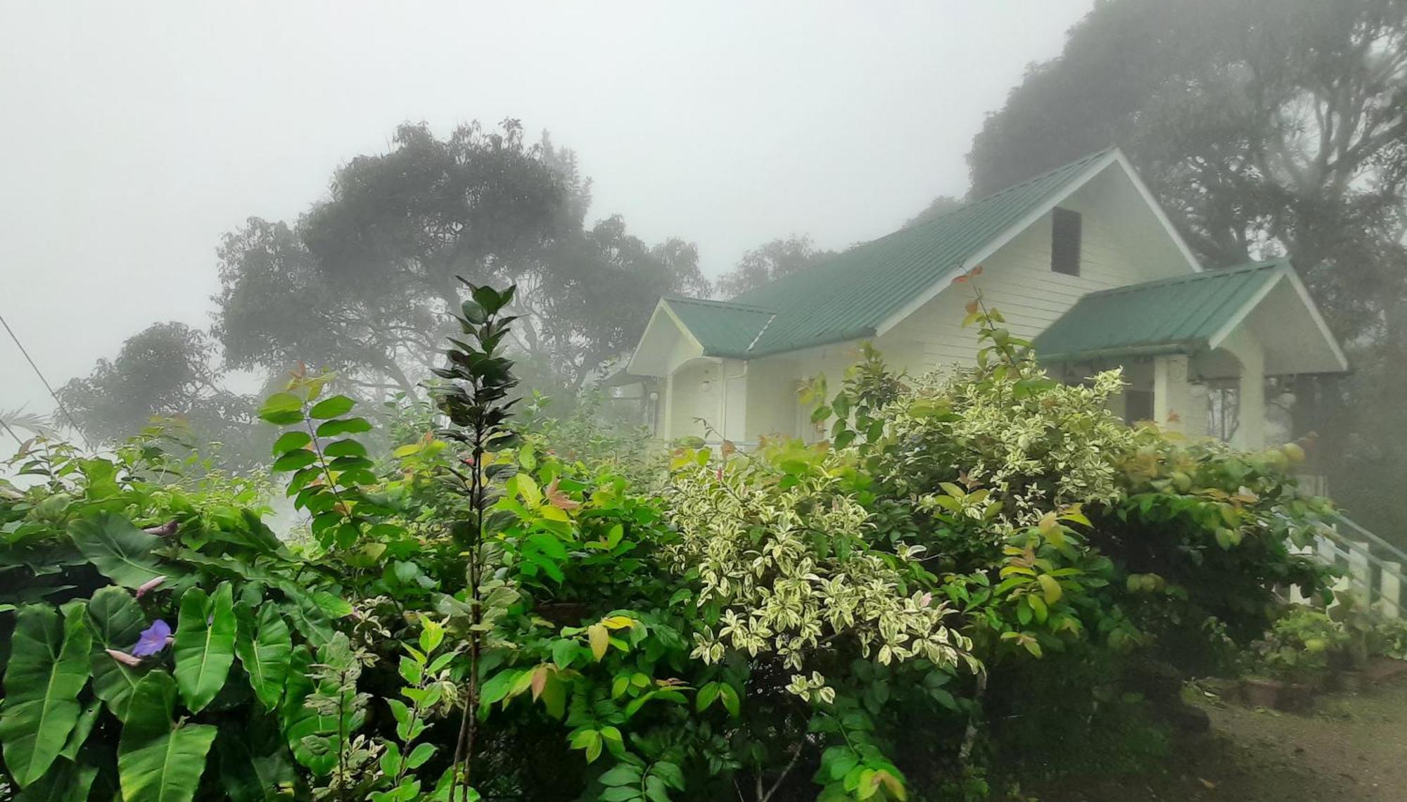 Summer Dew Anachal Ngoại thất bức ảnh